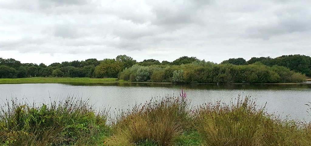 Un roadtrip en van, seule à 58 ans, pourquoi pas? 19 un roadtrip en van seule à 58 ans parc naturel de Brière