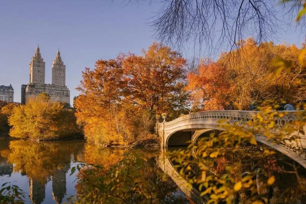 New York en amoureux : les étapes essentielles pour une escapade parfaite. 2 a bridge over water with trees and a building in the background
