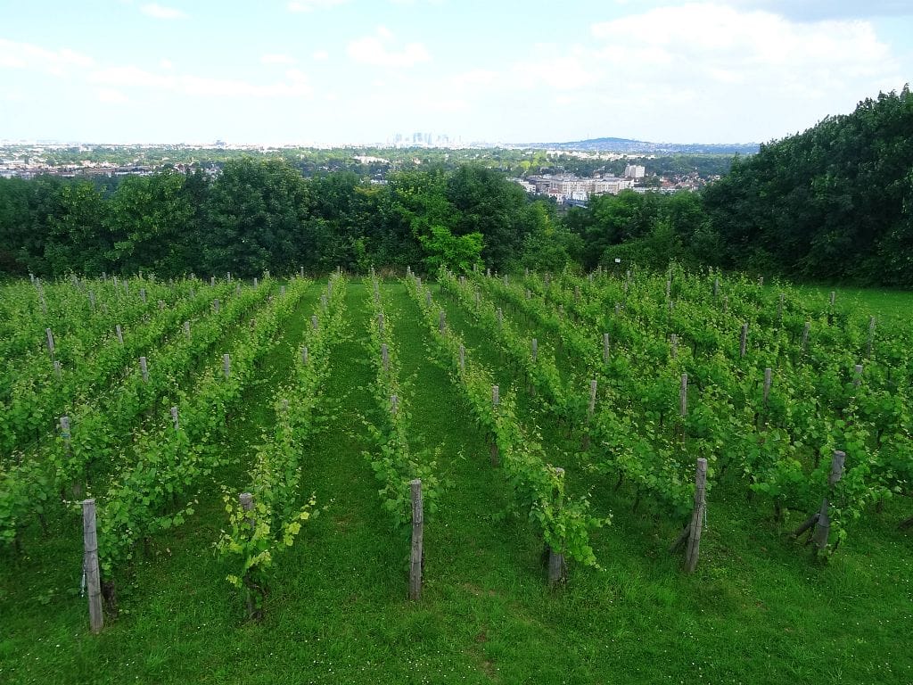 Ce week-end, nous avons aimé nous promener au Parc de Saint-Germain-en-Laye 10 dans le parc de Saint-Germain-en-Laye