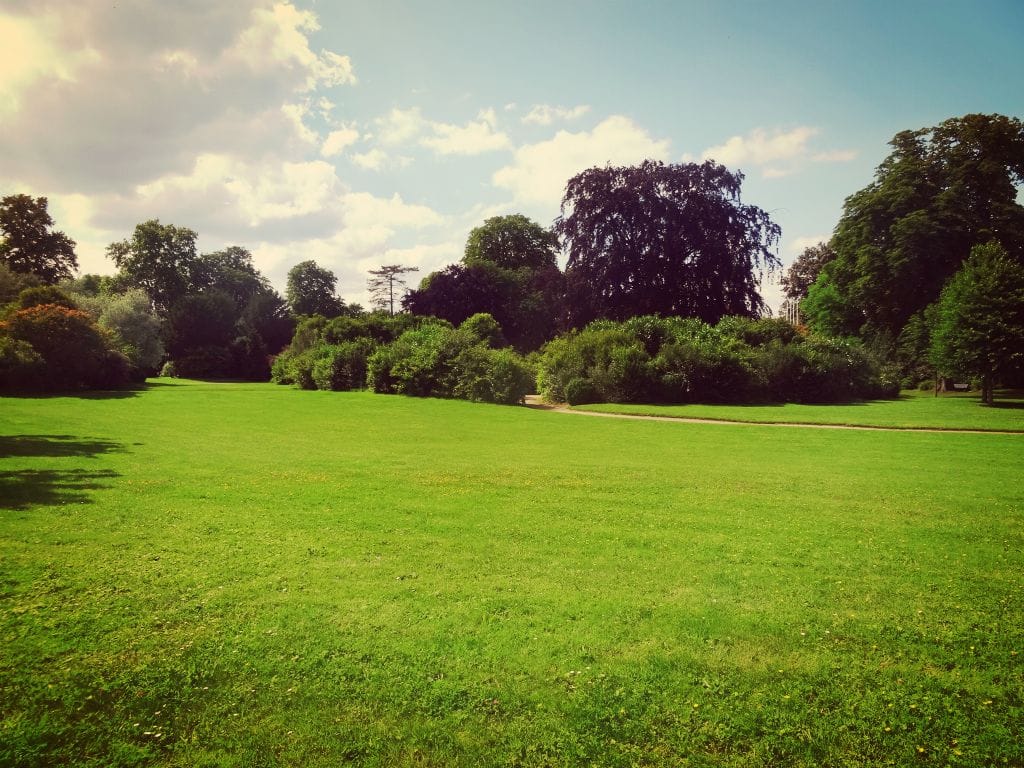 Ce week-end, nous avons aimé nous promener au Parc de Saint-Germain-en-Laye 4 stgermain07