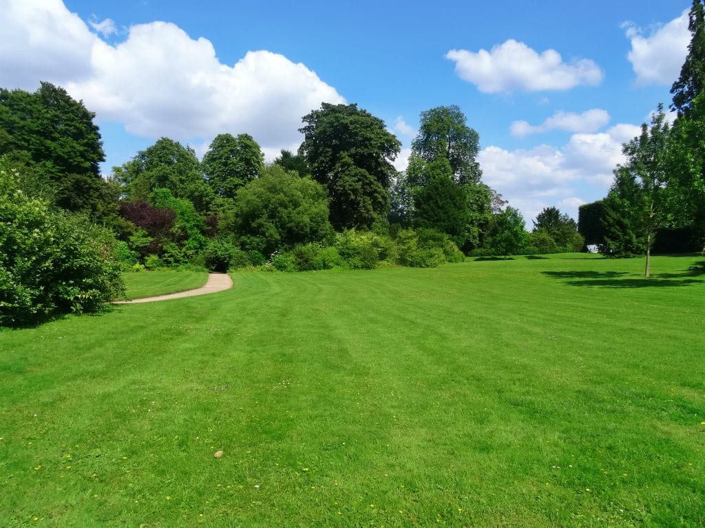 Ce week-end, nous avons aimé nous promener au Parc de Saint-Germain-en-Laye 3 stgermain08