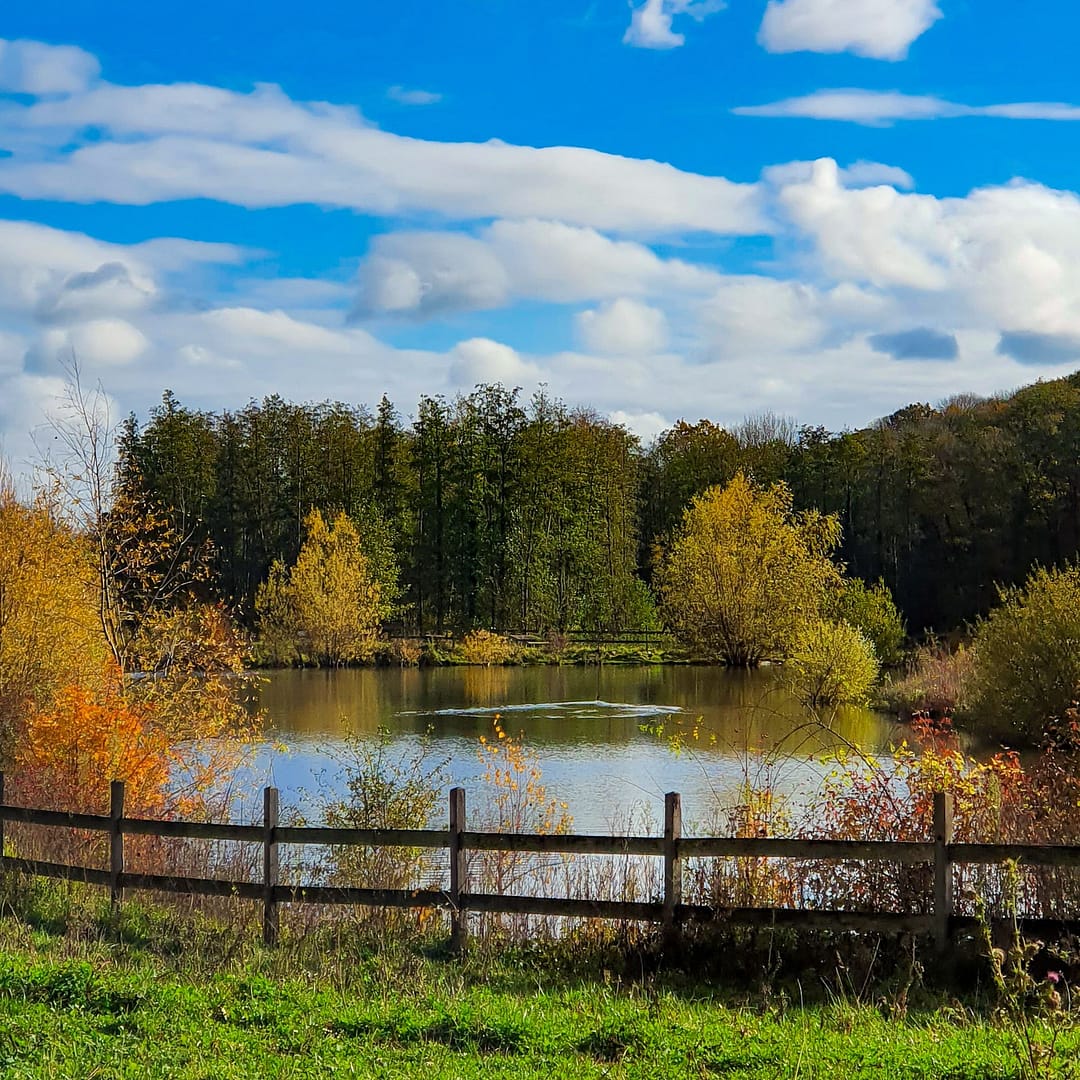 Randonner à Luzarches dans le Val d'Oise. 17 Le vallon de Rocquemont à Luzarches en automne