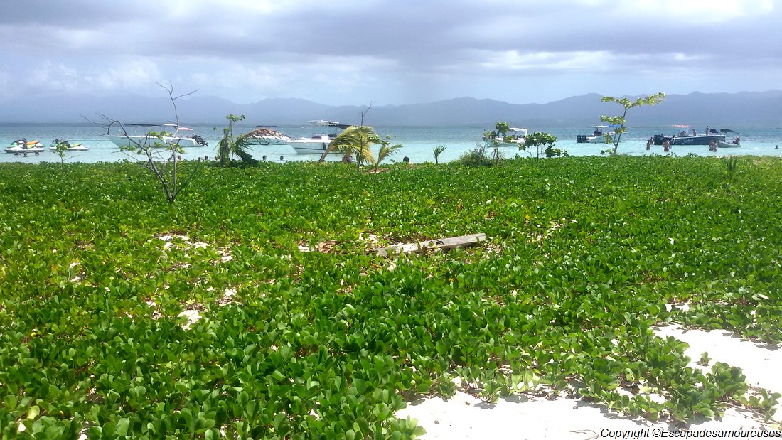 #Guadeloupe : nos plages favorites 12 Guadeloupe plage ilet caret