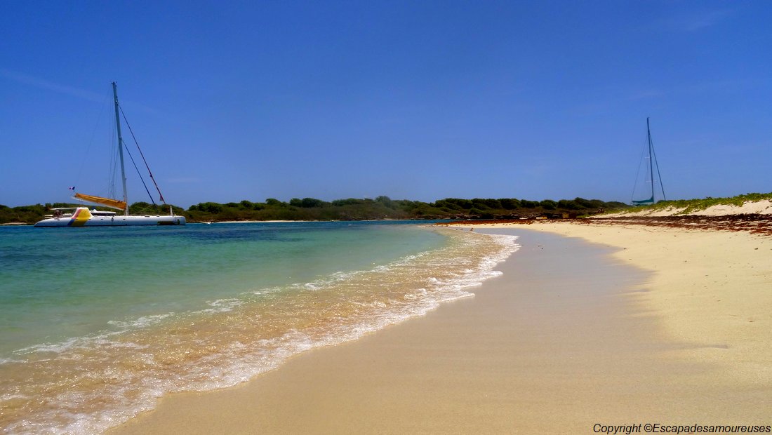 #Guadeloupe : nos plages favorites 15 Guadeloupe Petite Terre