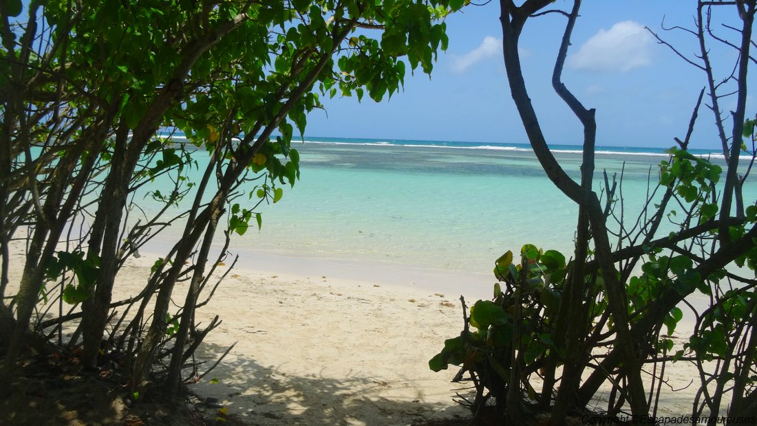 #Guadeloupe : nos plages favorites 3 Guadeloupe plage Bois jolan