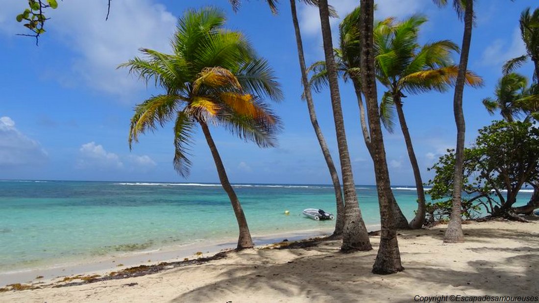 #Guadeloupe : nos plages favorites 1 Guadeloupe plage de la caravelle