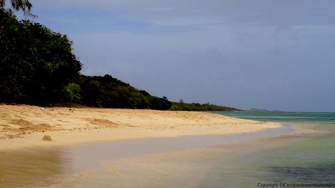 #Guadeloupe : nos plages favorites 8 Guadeloupe plage de la coulée