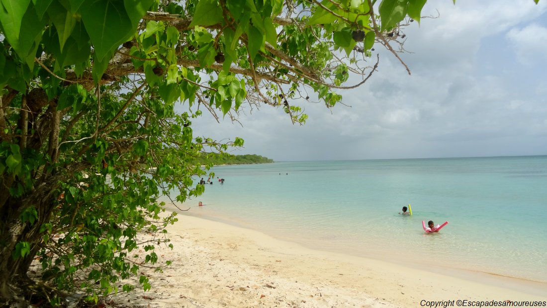 #Guadeloupe : nos plages favorites 5 Guadeloupe plage du souffleur port Louis