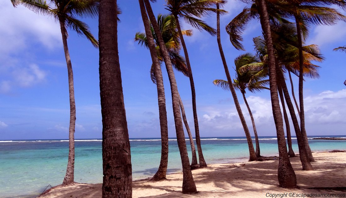 #Guadeloupe : nos plages favorites 2 Guadeloupe plage de la caravelle