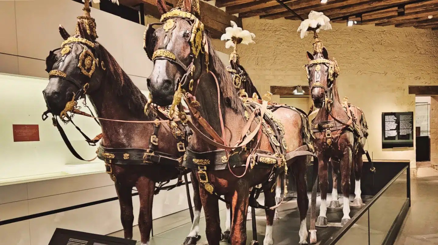 Visiter le sublime Château de Chantilly lors des Journées des Plantes. 10 Les grandes écuries du Château de Chantilly