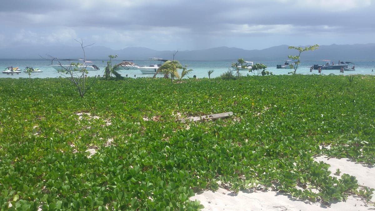 Guadeloupe : direction l'îlet Caret dans le Grand cul de sac marin. 13 Guadeloupe excursion ilet Caret escapades amoureuses