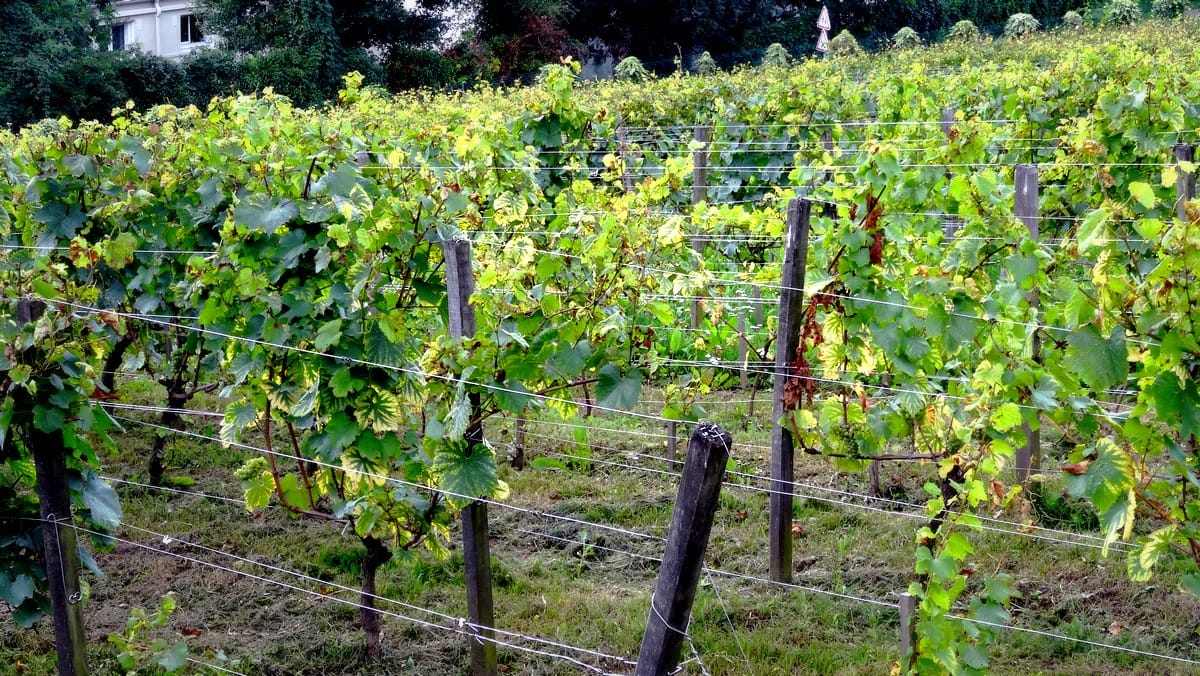 #En France aussi : le moulin de Sannois 6 moulin06