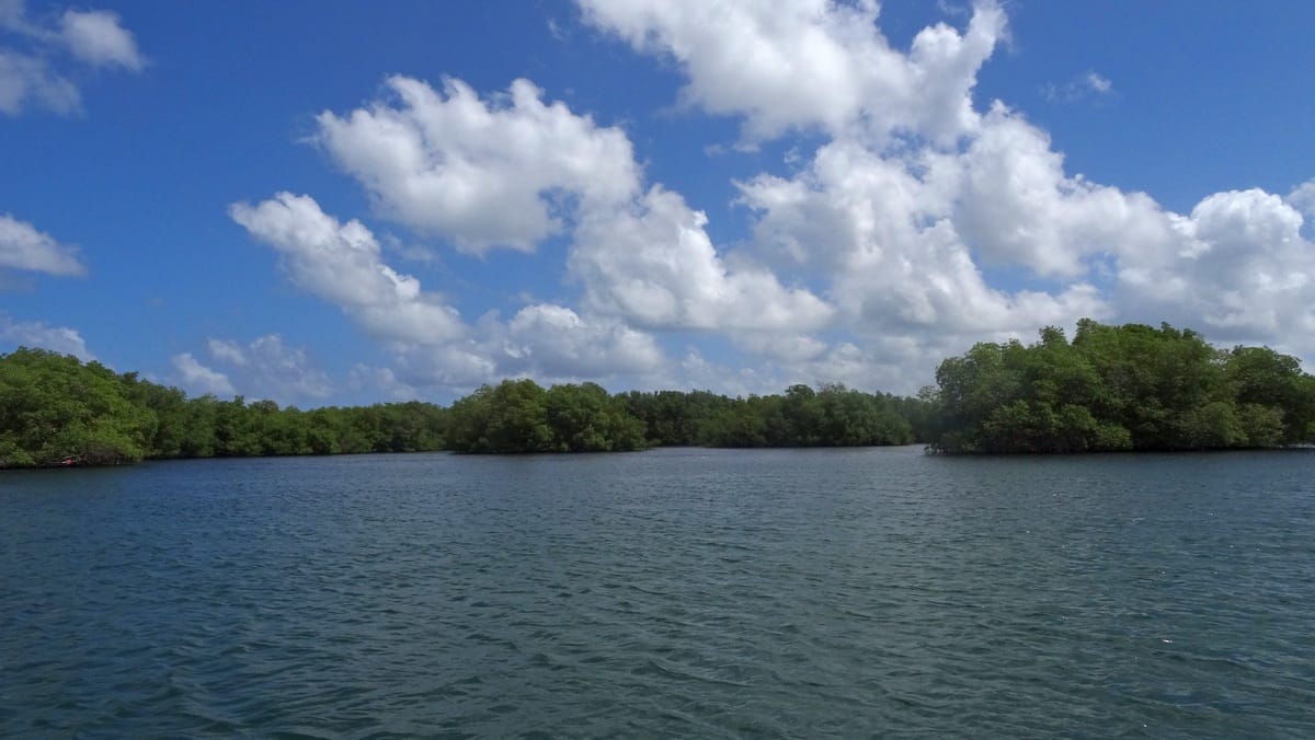 Guadeloupe : direction l'îlet Caret dans le Grand cul de sac marin. 5 excursion îlet caret grand cul de sac marin guadeloupe escapades amoureuses