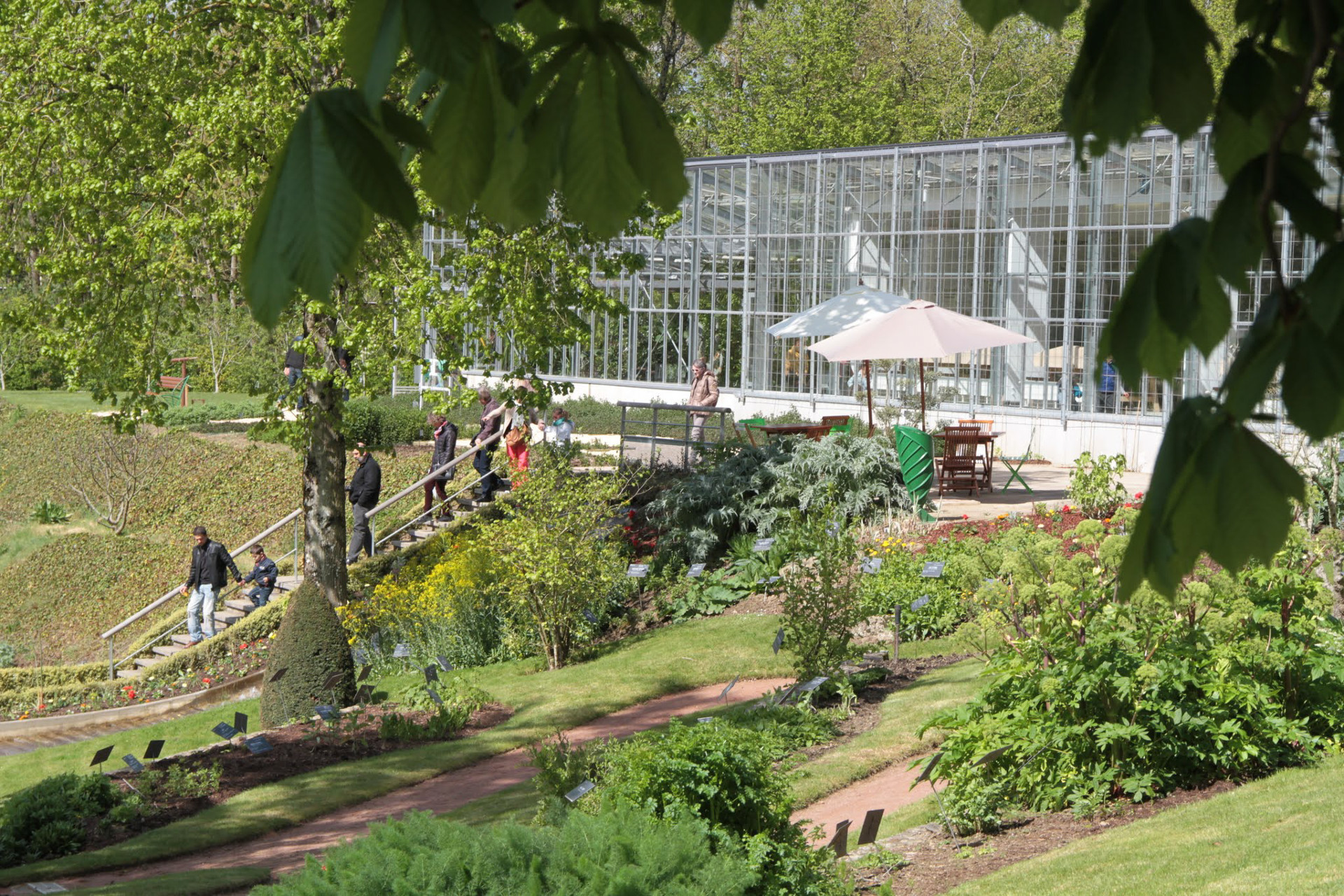 Anjou : retrouver les bienfaits de la nature. 2 Camifolia anjou tourisme