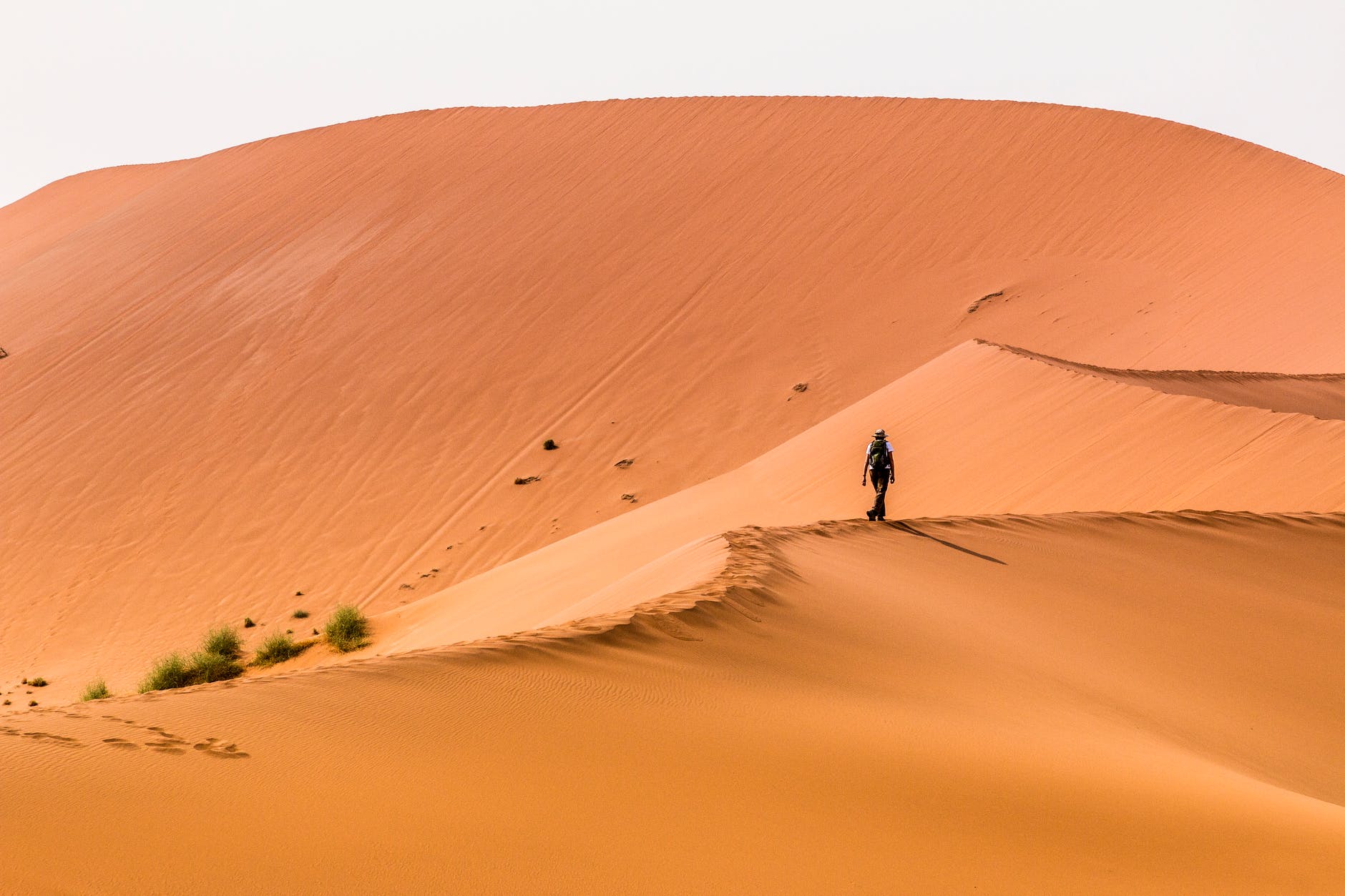 4 raisons de faire un voyage en Namibie en amoureux. 3 person walking on desert