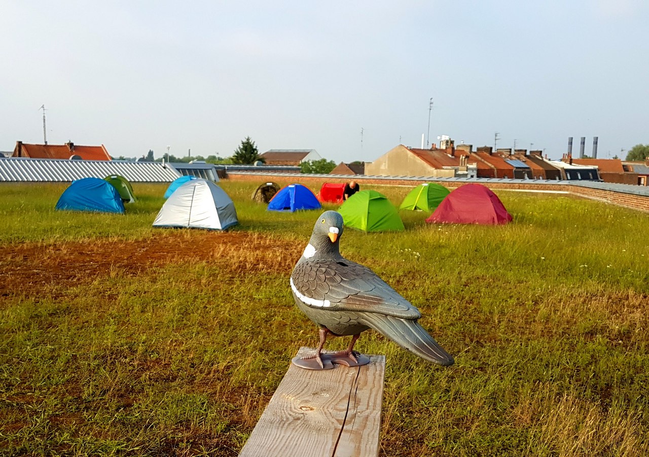 Roubaix : mes coups de coeur 32 Camper sur le toit de la Condition Publique à Roubaix