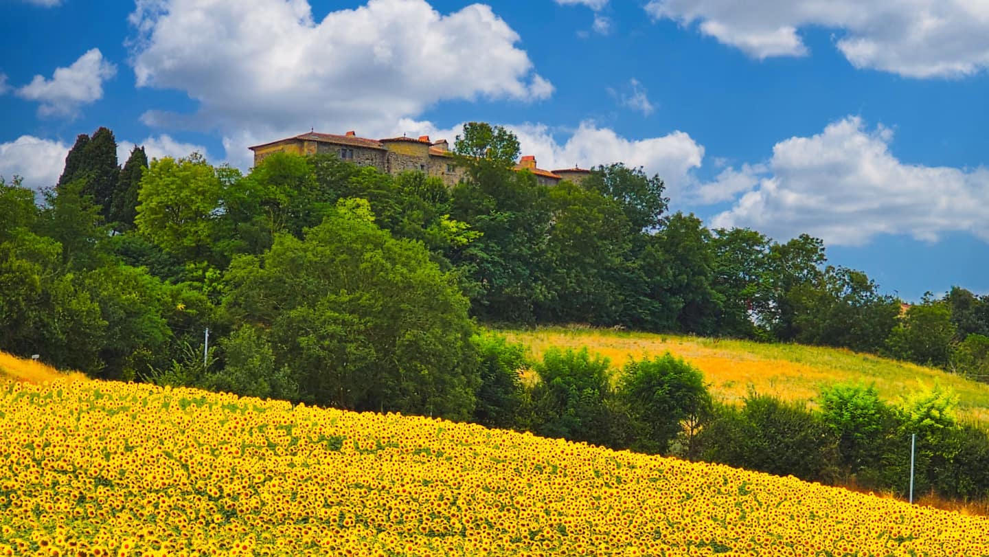 Dormir dans un château dans l'Aude : Château de Mézerville 1 Château médiéval chambre d'hôte Aude : Mézerville