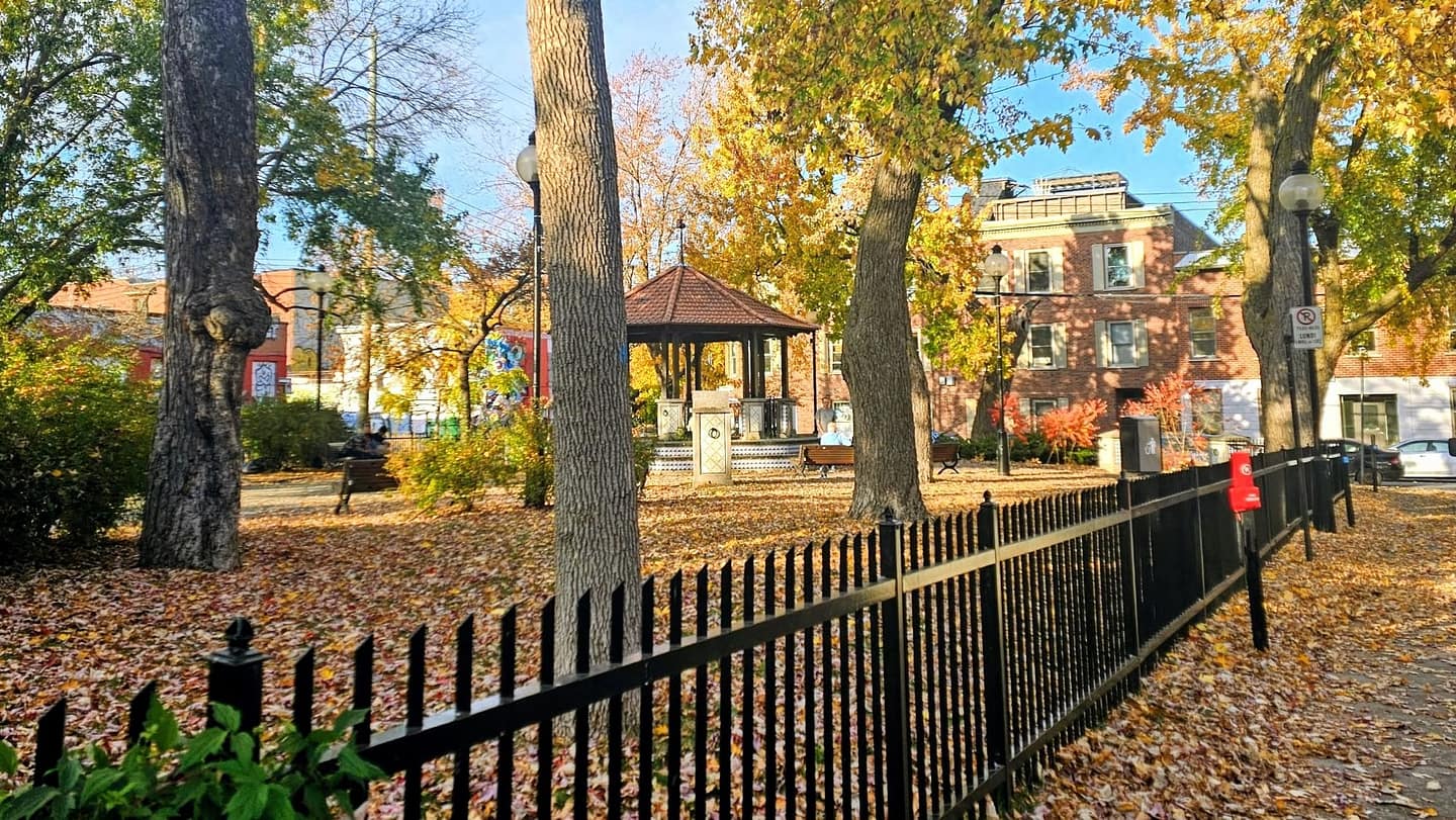 Le Plateau-Mont-Royal : Mon coup de cœur automnal à Montréal 10 Parc avec feuilles d'automne colorées