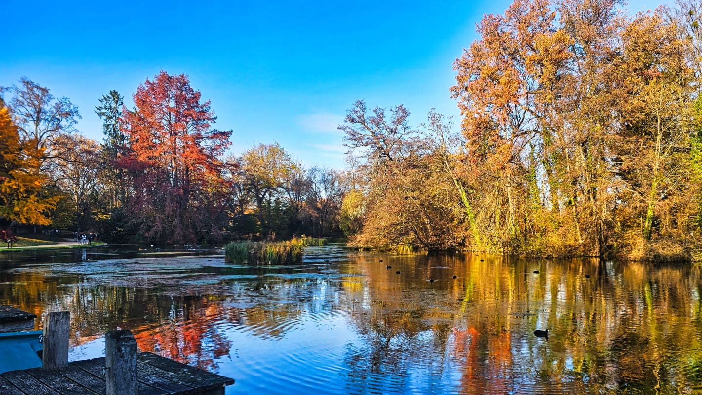 Week-end à Beaune : Entre Hospices et Caves, un voyage dans le temps 19 reflets couleurs d'automne en Bourgogne