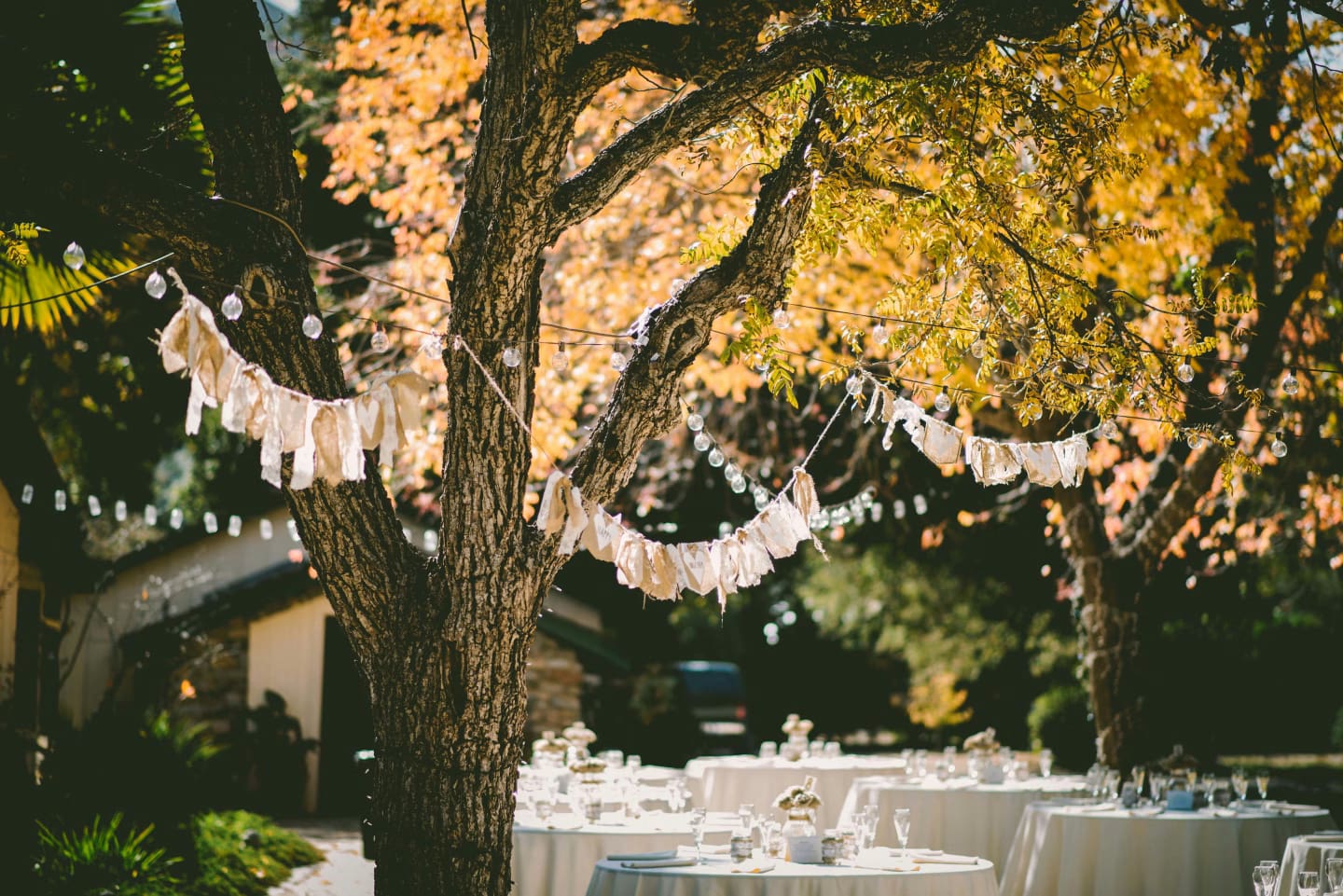 Vignobles en Scène : Le grand rendez-vous œnotouristique de l'automne 3 Décor de mariage sous un arbre.
