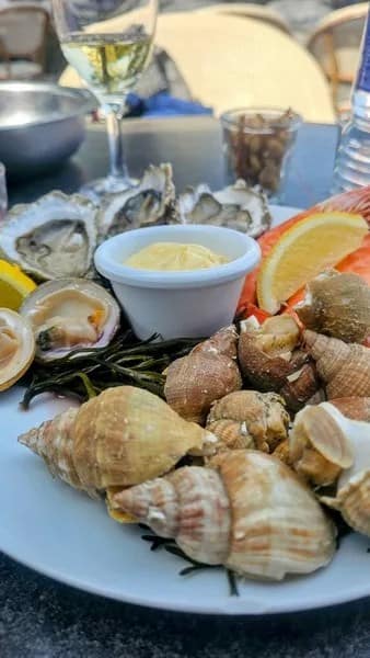 Visiter les îles Chausey depuis Granville : guide complet 11 fruits de mer
