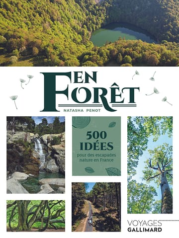 Quelques idées cadeaux, idées lecture 6 En Foret éditions Gallimard