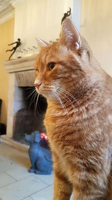 Séjour en amoureux dans l'Aisne. 21 domainedebarive24