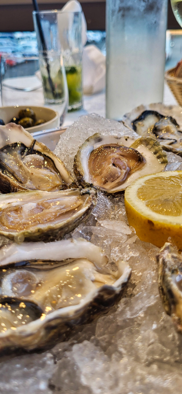 2 jours auTréport : un week-end de détente et de découverte avec Domitys ! 23 Le Homard Bleu Le Tréport Escapades Amoureuses