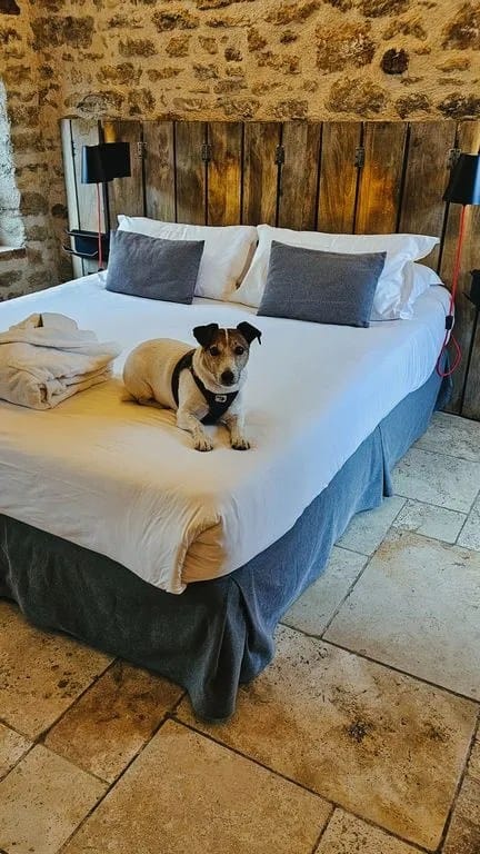 Où dormir en Bourgogne ? Domaine des Prés Verts, hôtel de charme 8 Logis le domaine des Prés verts Bourgogne hotel spa dogfriendly