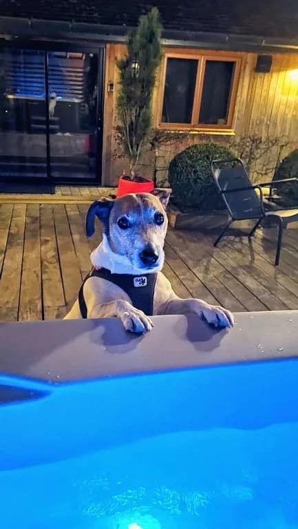 Où dormir en Bourgogne ? Domaine des Prés Verts, hôtel de charme 10 Logis le domaine des Prés verts Bourgogne hotel spa dogfriendly