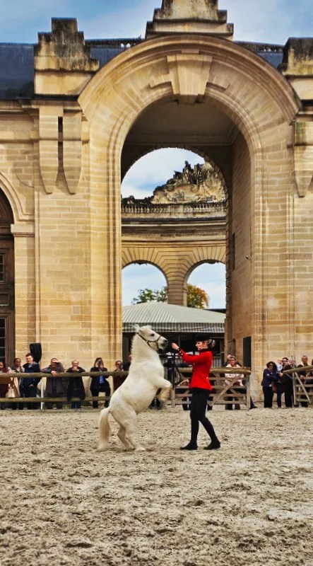 Visiter le sublime Château de Chantilly lors des Journées des Plantes. 13 Les grandes écuries du Château de Chantilly