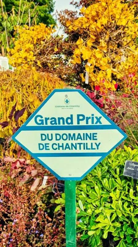 Visiter le sublime Château de Chantilly lors des Journées des Plantes. 2 20241013 1238092 jpg