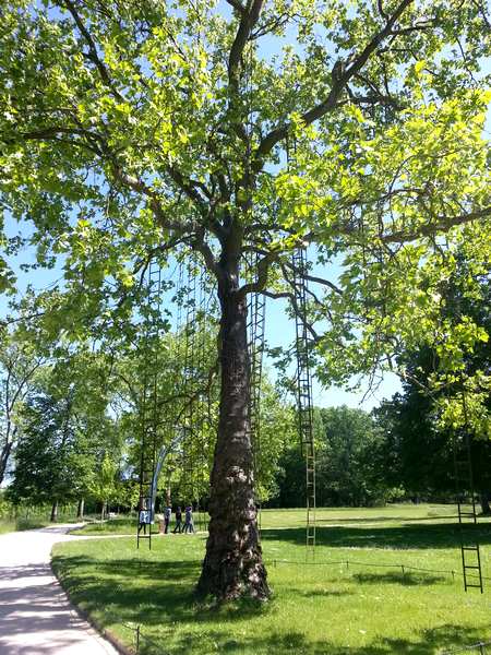 Le domaine de Chaumont-sur-Loire : un trésor caché à explorer absolument! 4 domaine de Chaumont-sur-Loire