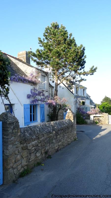 Quiberon : la mer à perte de vue 18 quiberon17