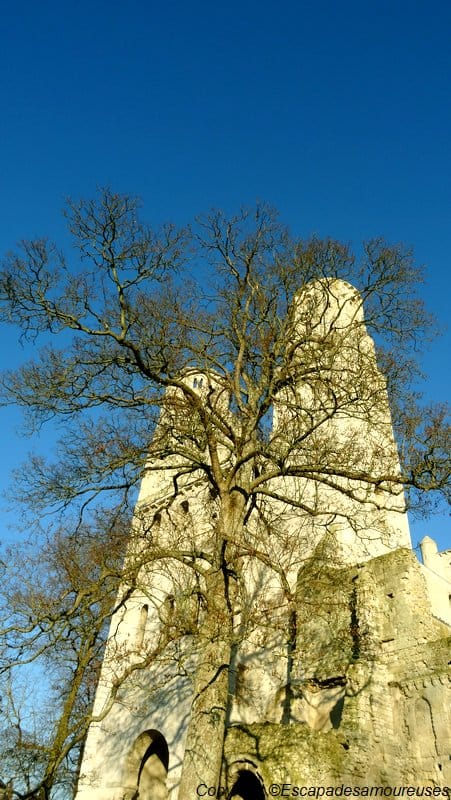 Escapade dans le temps à l'Abbaye de Jumièges 3 abbayejumieges03