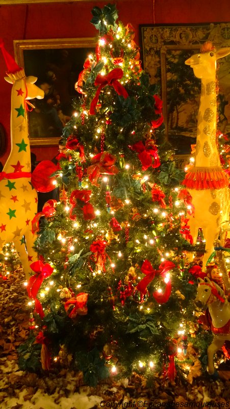 Visite féérique au Château de Vaux-le-Vicomte 4 vlcnuit01