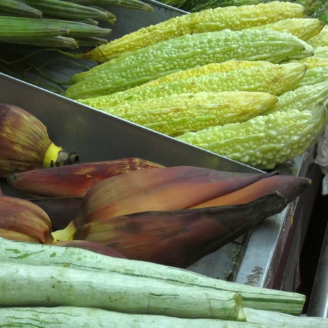 Sur la route des Indes à la Courneuve. 24 communautetamoul10