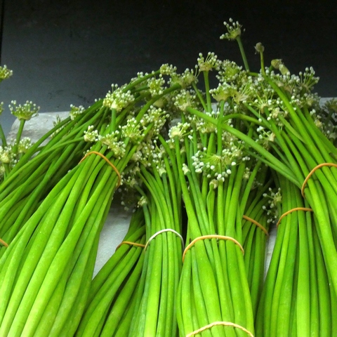 Sur la route des Indes à la Courneuve. 22 communautetamoul12