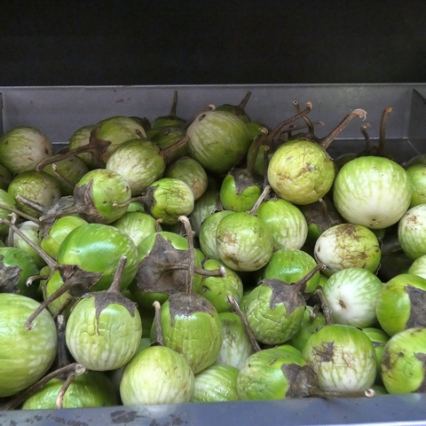 Sur la route des Indes à la Courneuve. 21 communautetamoul13