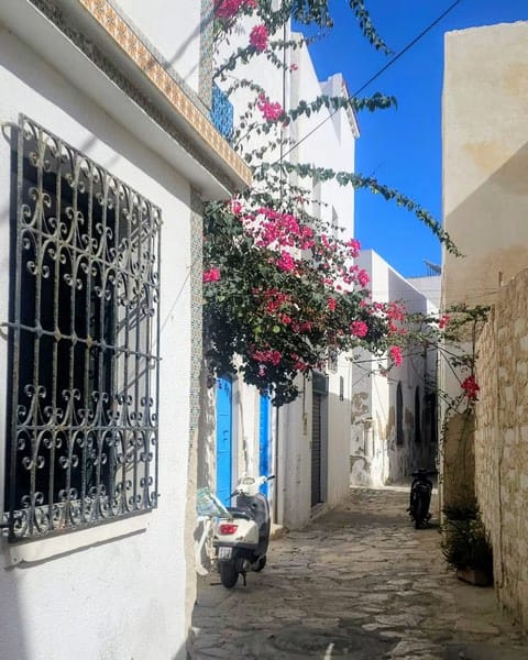 Mahdia, la perle méconnue de la Tunisie : guide et récit d'une semaine idéale. 3 Rue étroite avec fleurs colorées