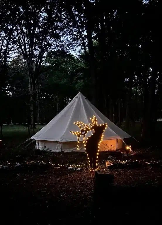 Que faire à Rambouillet ? Sortie nature en forêt près de Paris 5 bivouac espace rambouillet rever la foret