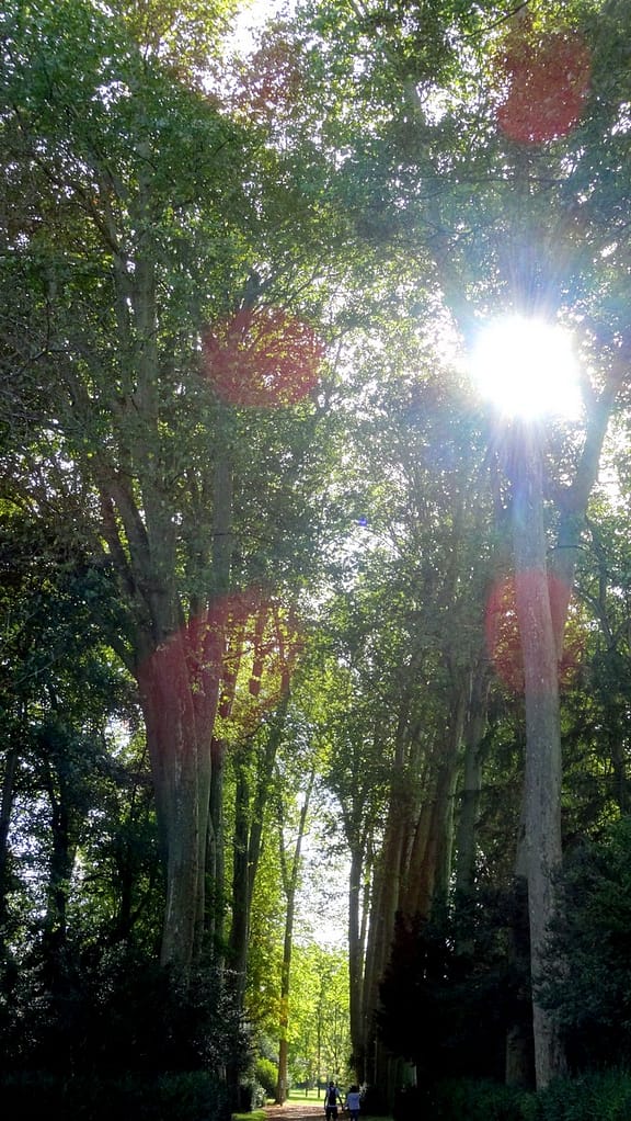 Escapade amoureuse à Fontainebleau 2 fontainebleau06
