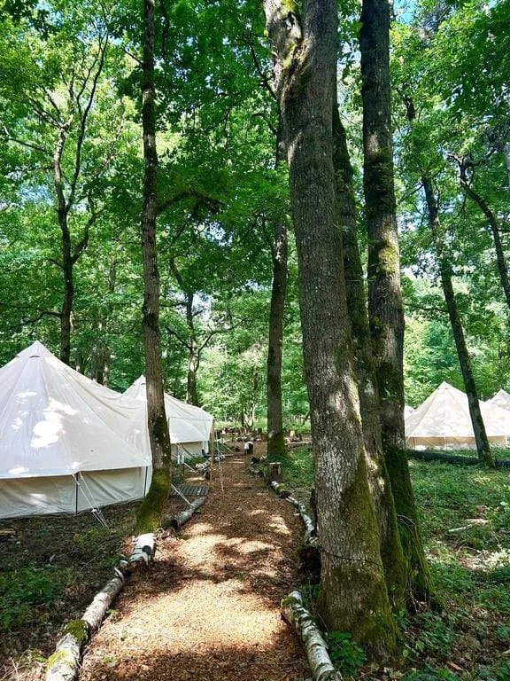 Que faire à Rambouillet ? Sortie nature en forêt près de Paris 4 bivouac espace rambouillet rever la foret
