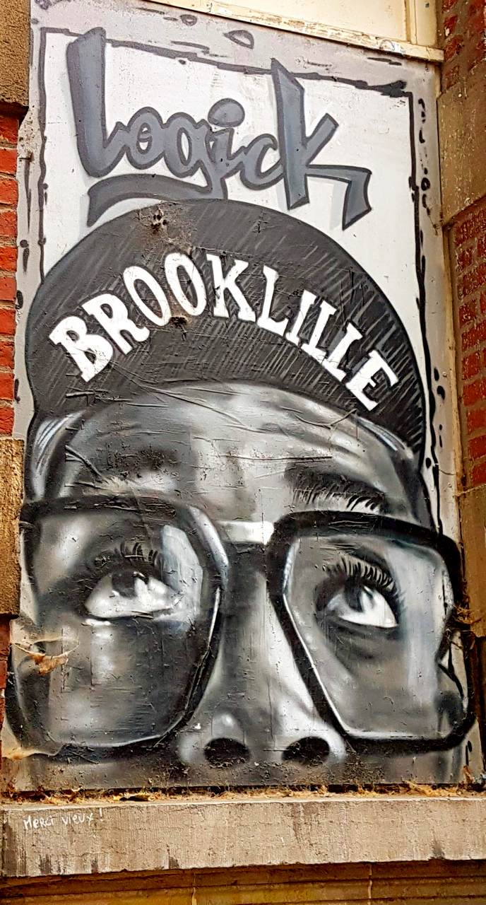 Que faire à Lille en 2 jours ? 36 street art lille