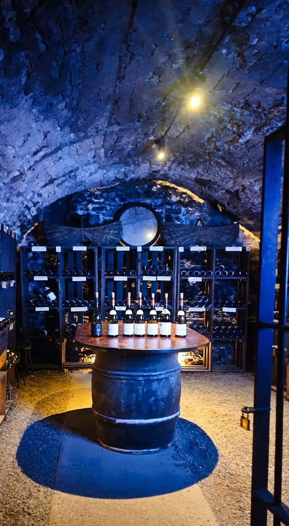 Week-end à Beaune : Entre Hospices et Caves, un voyage dans le temps 14 Dans les caves de la maison patriarche week-end à Beaune