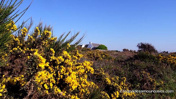Quiberon : la mer à perte de vue 13 quiberon02