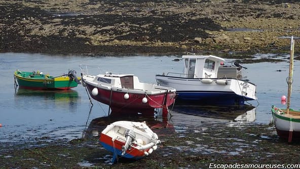 Quiberon : la mer à perte de vue 16 quiberon09