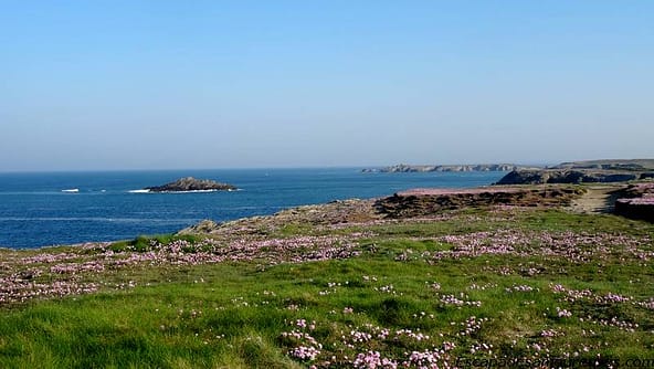 Quiberon : la mer à perte de vue 14 quiberon18