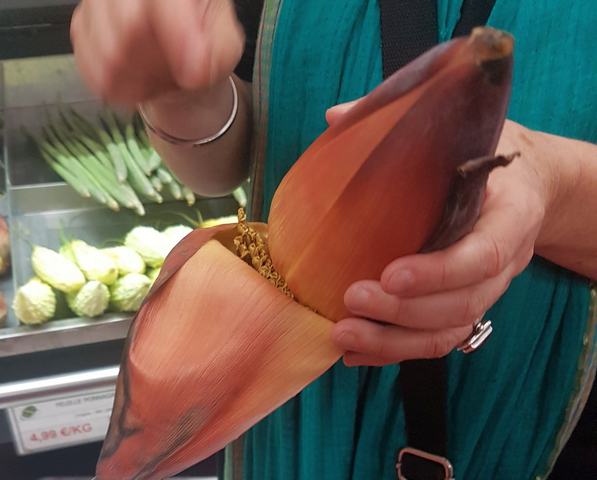 Sur la route des Indes à la Courneuve. 26 Fleurs de bananier