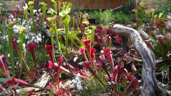 Le domaine de Chaumont-sur-Loire : un trésor caché à explorer absolument! 13 domaine de Chaumont-sur-Loire